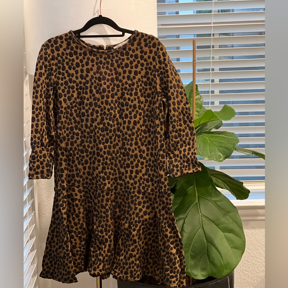 LOFT Printed Dress